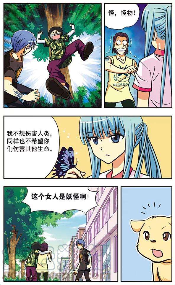 11.jpg