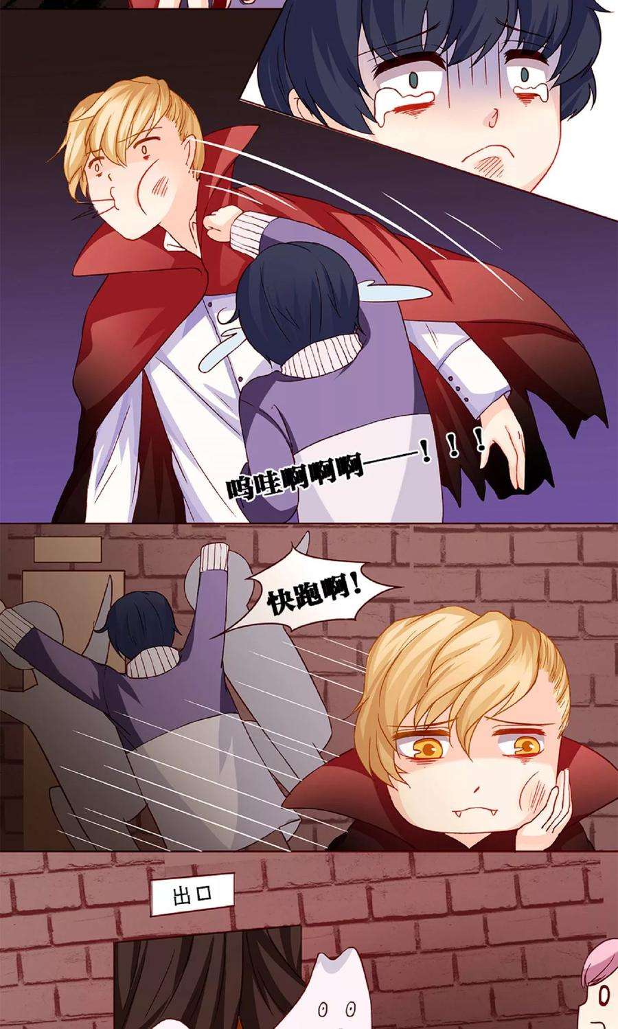 5.jpg
