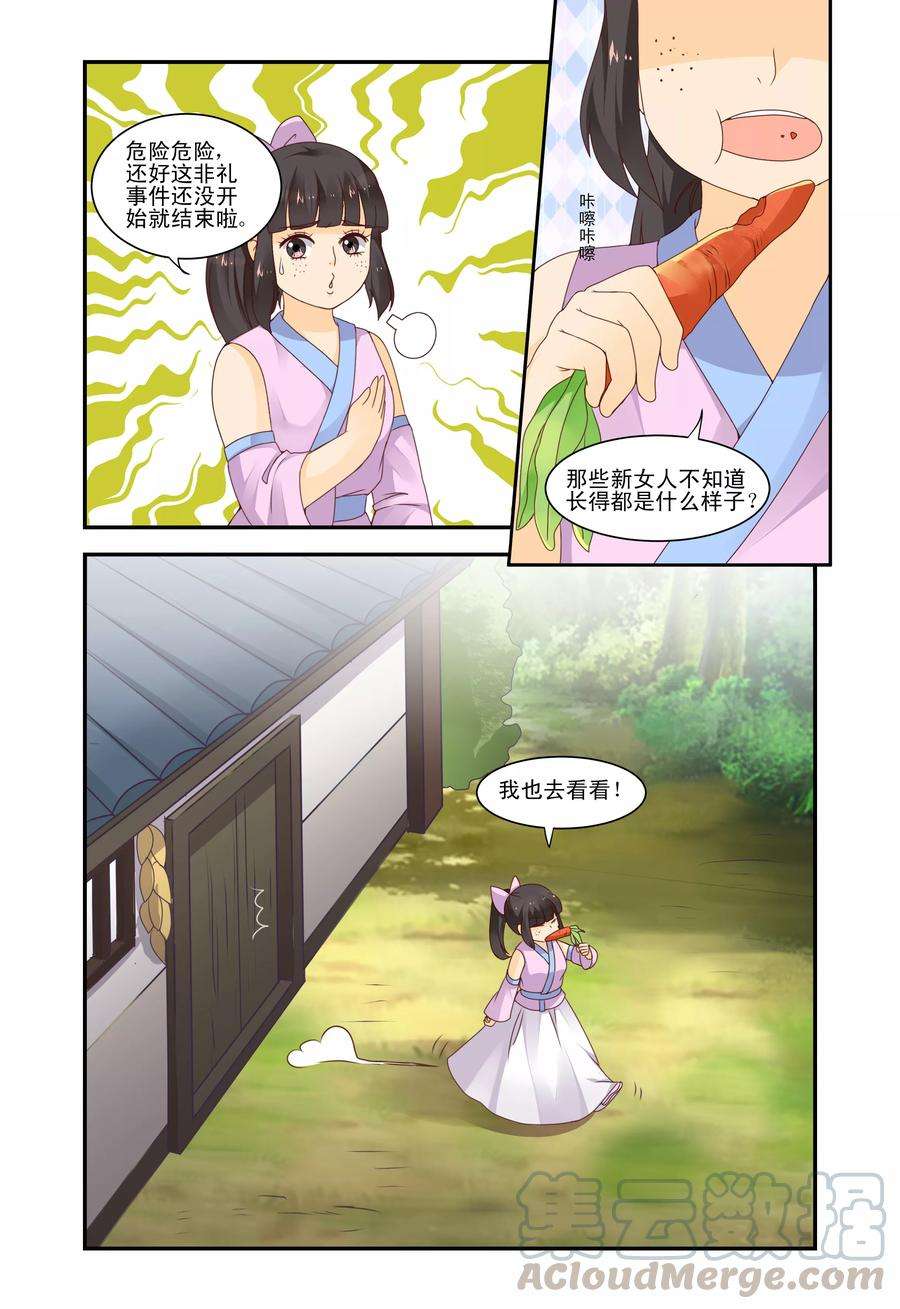 5.jpg