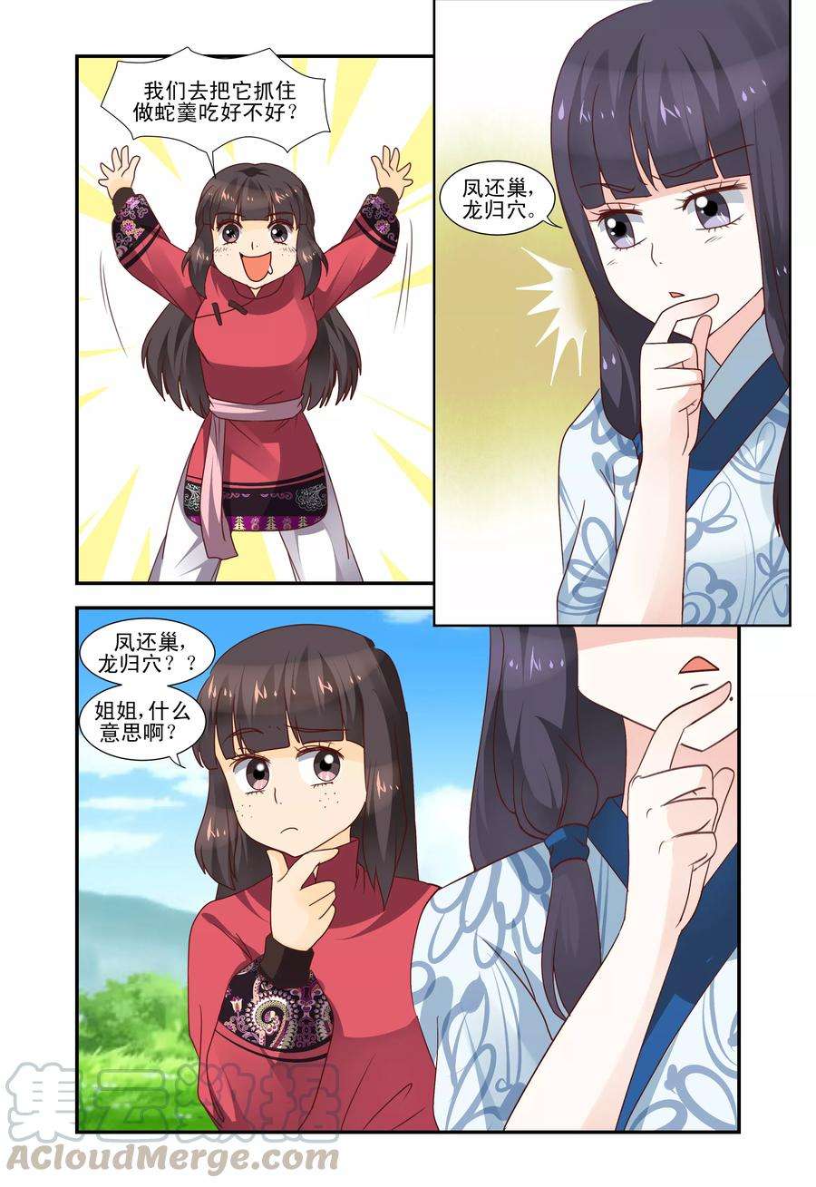5.jpg