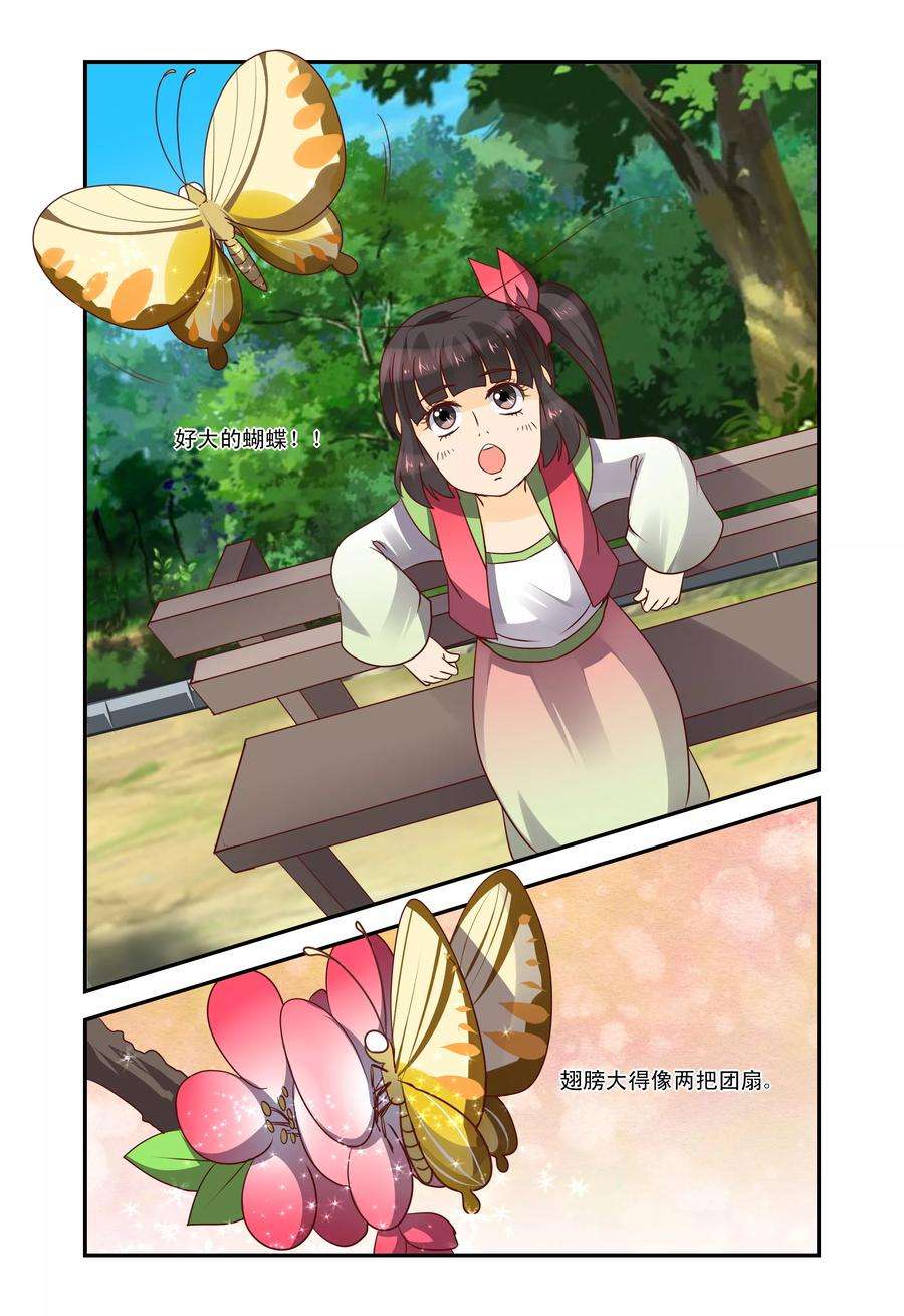 6.jpg