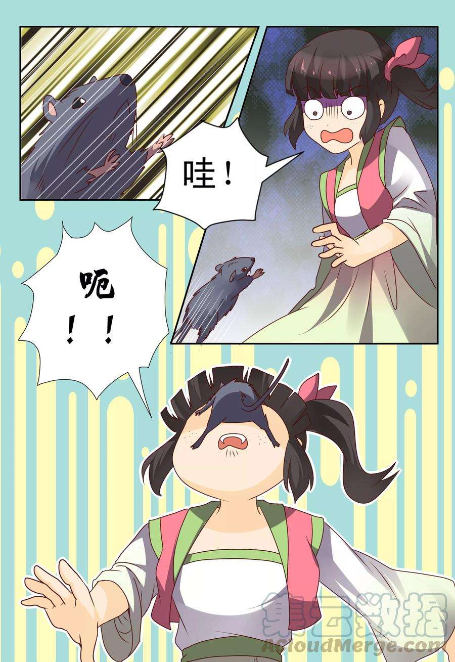 5.jpg