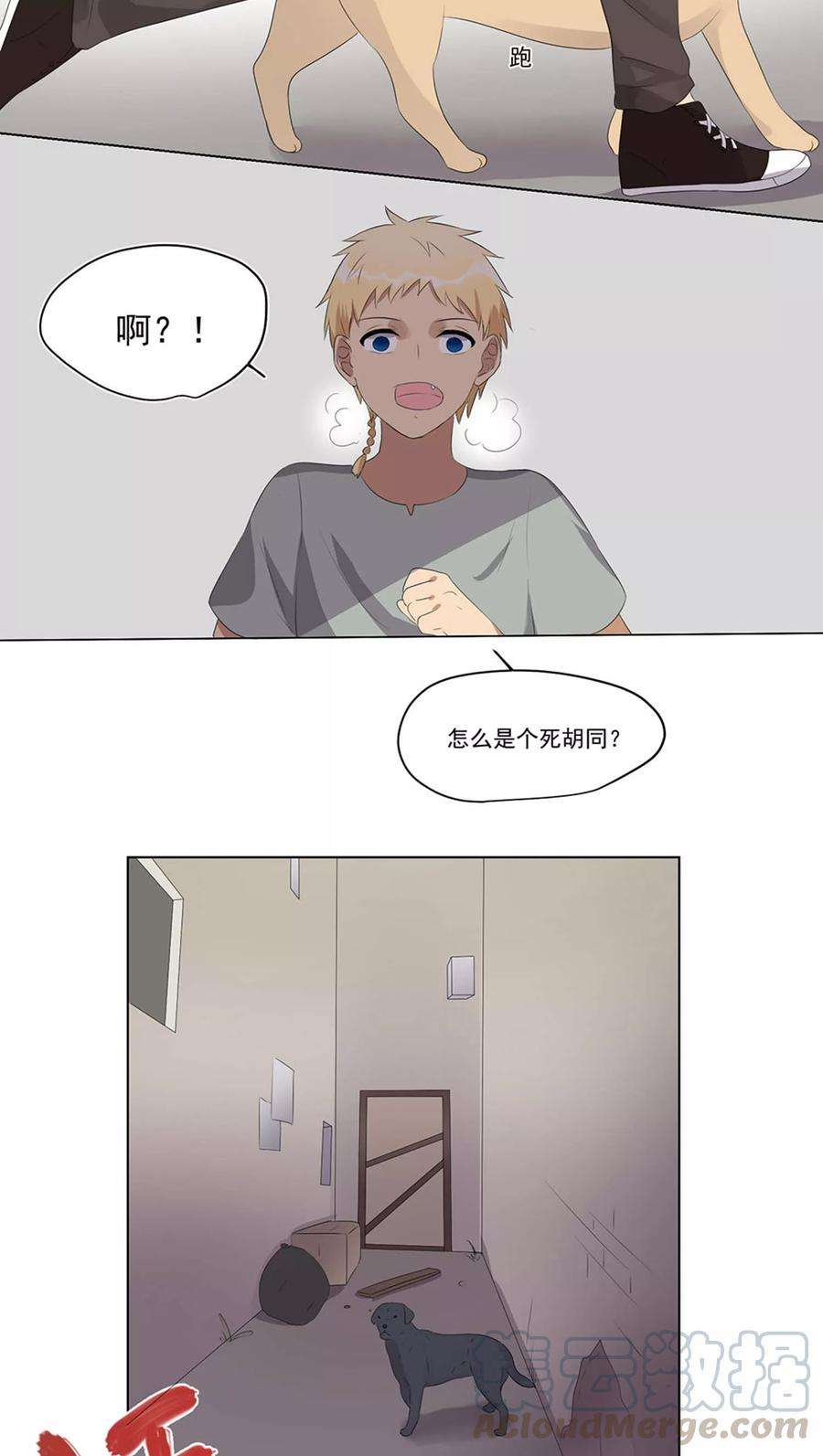 15.jpg