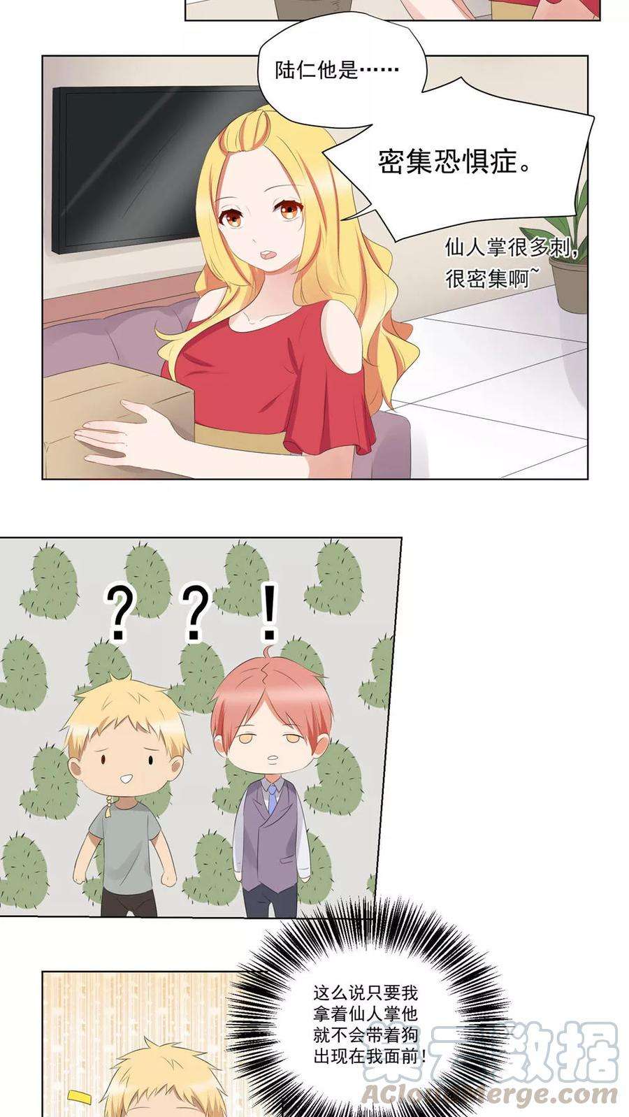 17.jpg