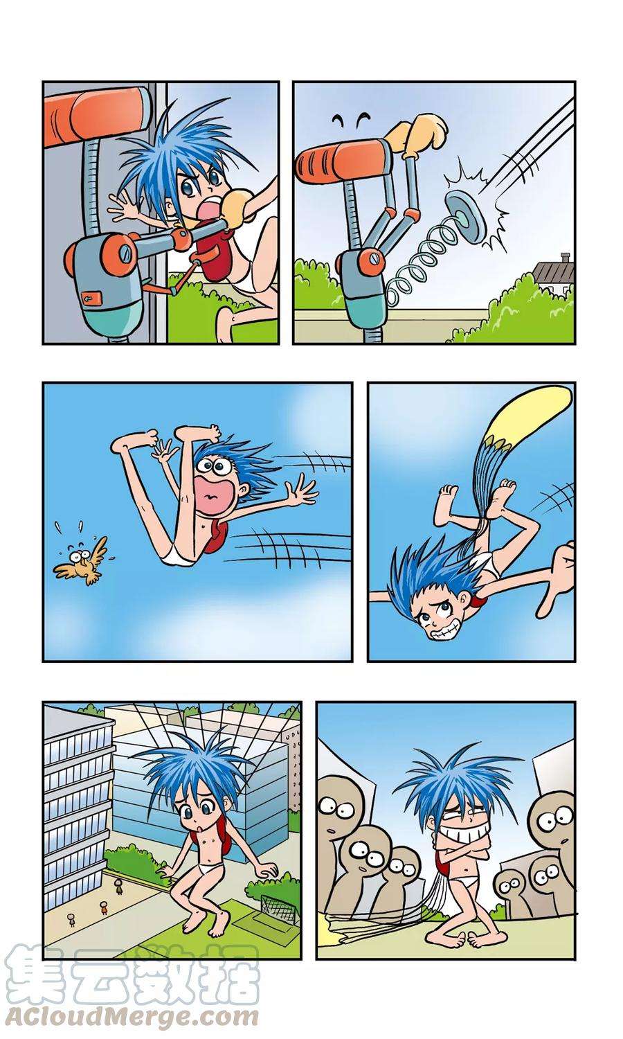 5.jpg