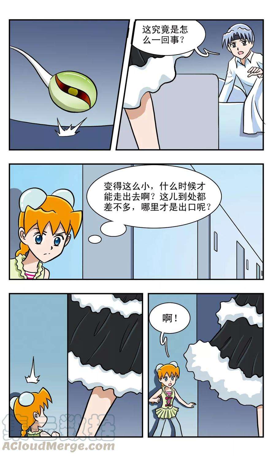 5.jpg