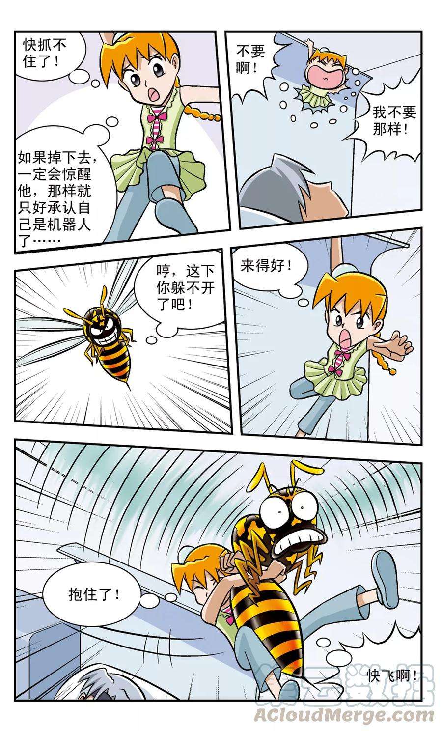 5.jpg