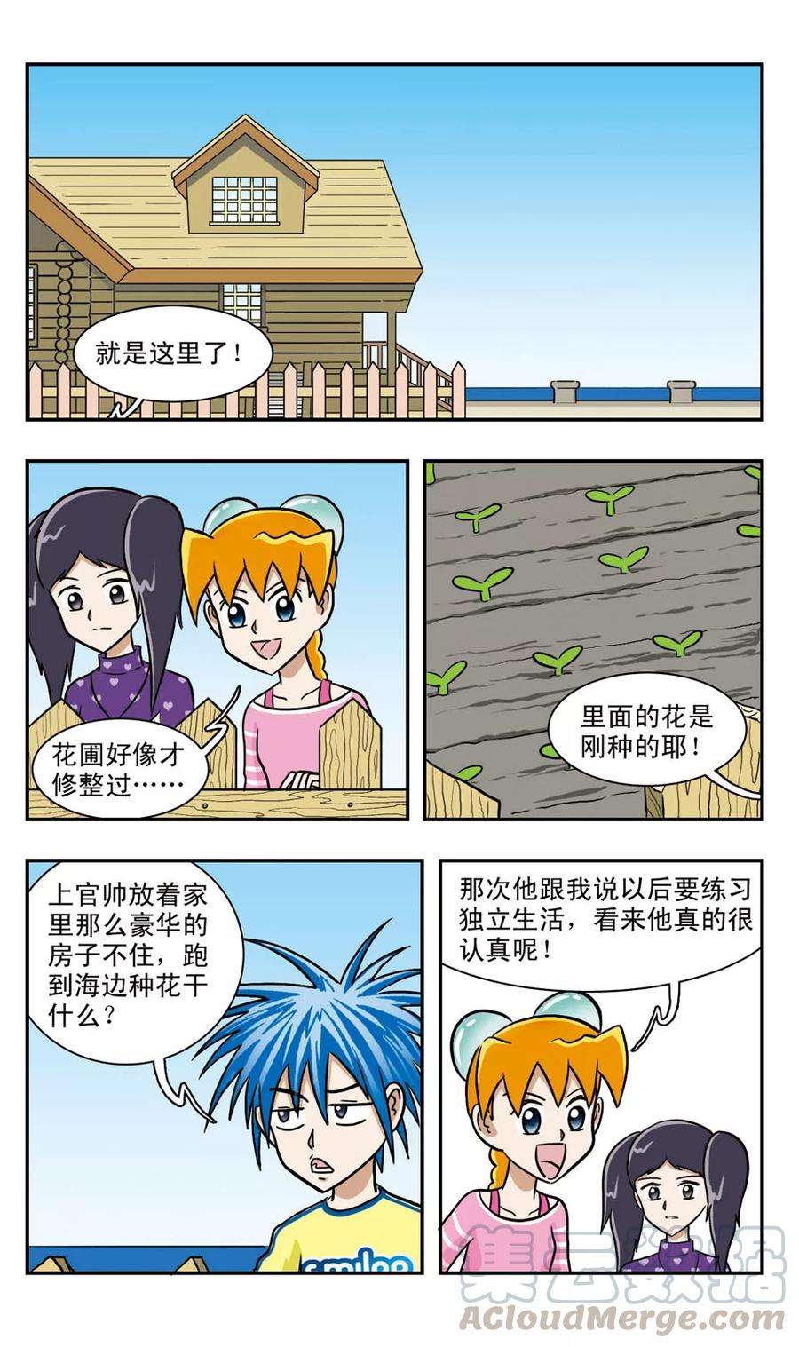 15.jpg