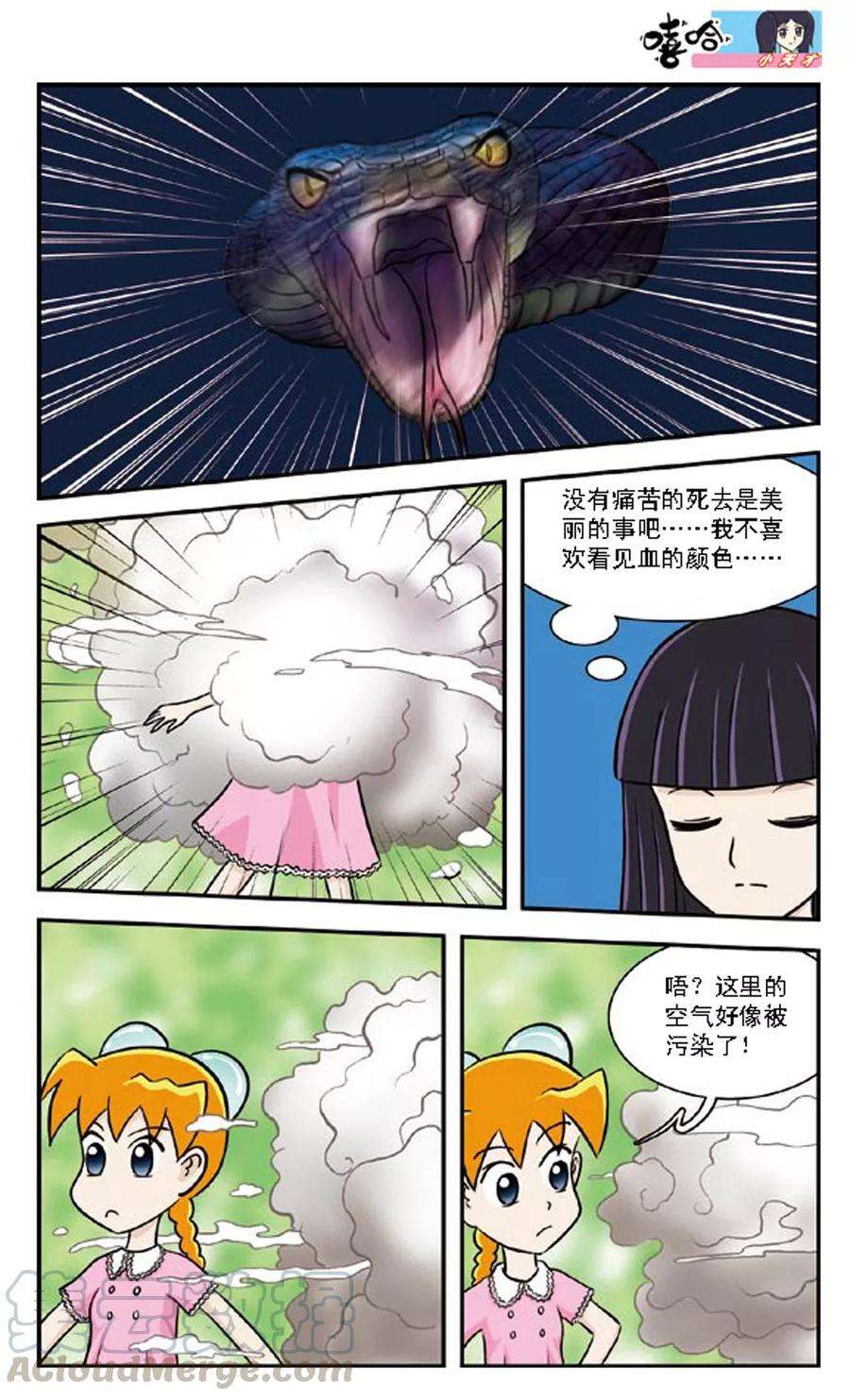 15.jpg
