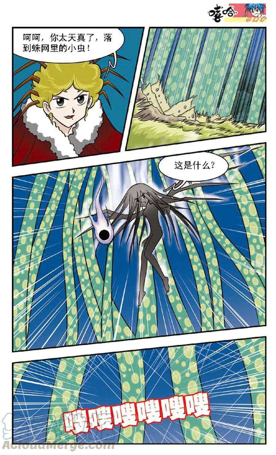 5.jpg