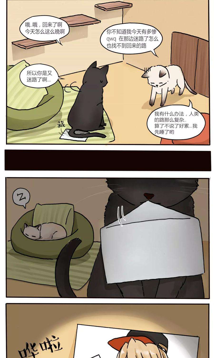11.jpg