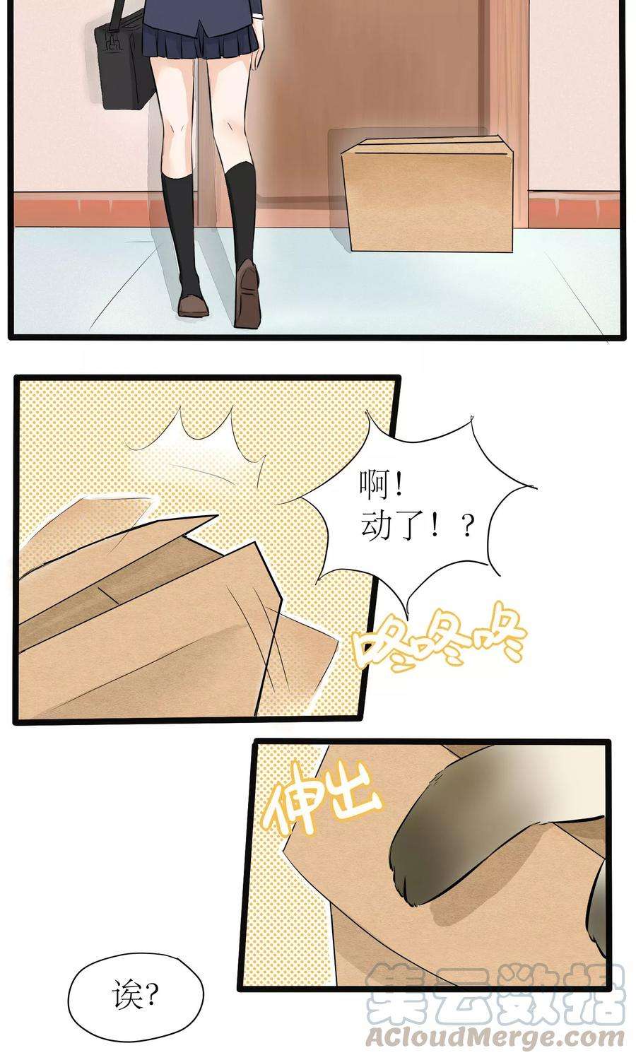 15.jpg