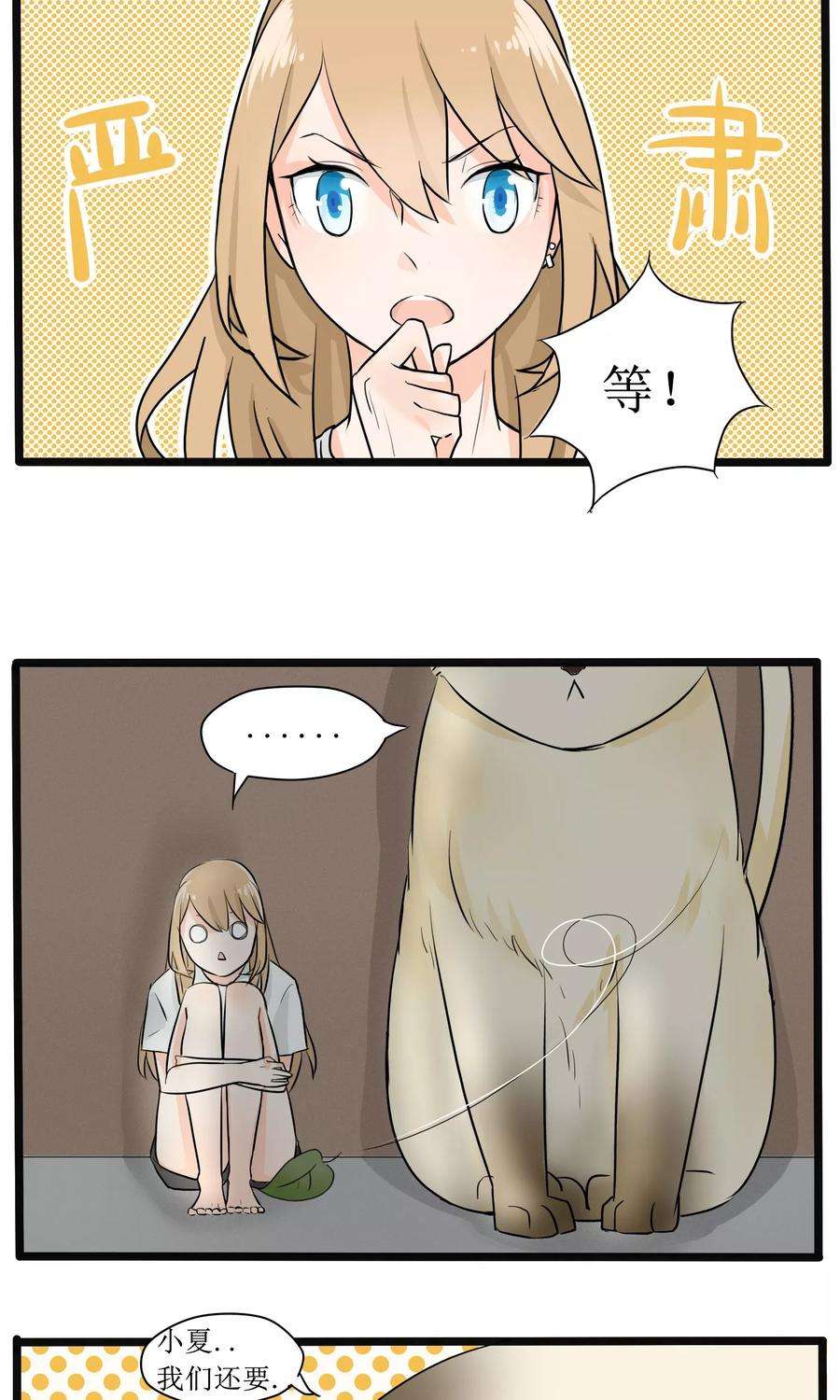 12.jpg