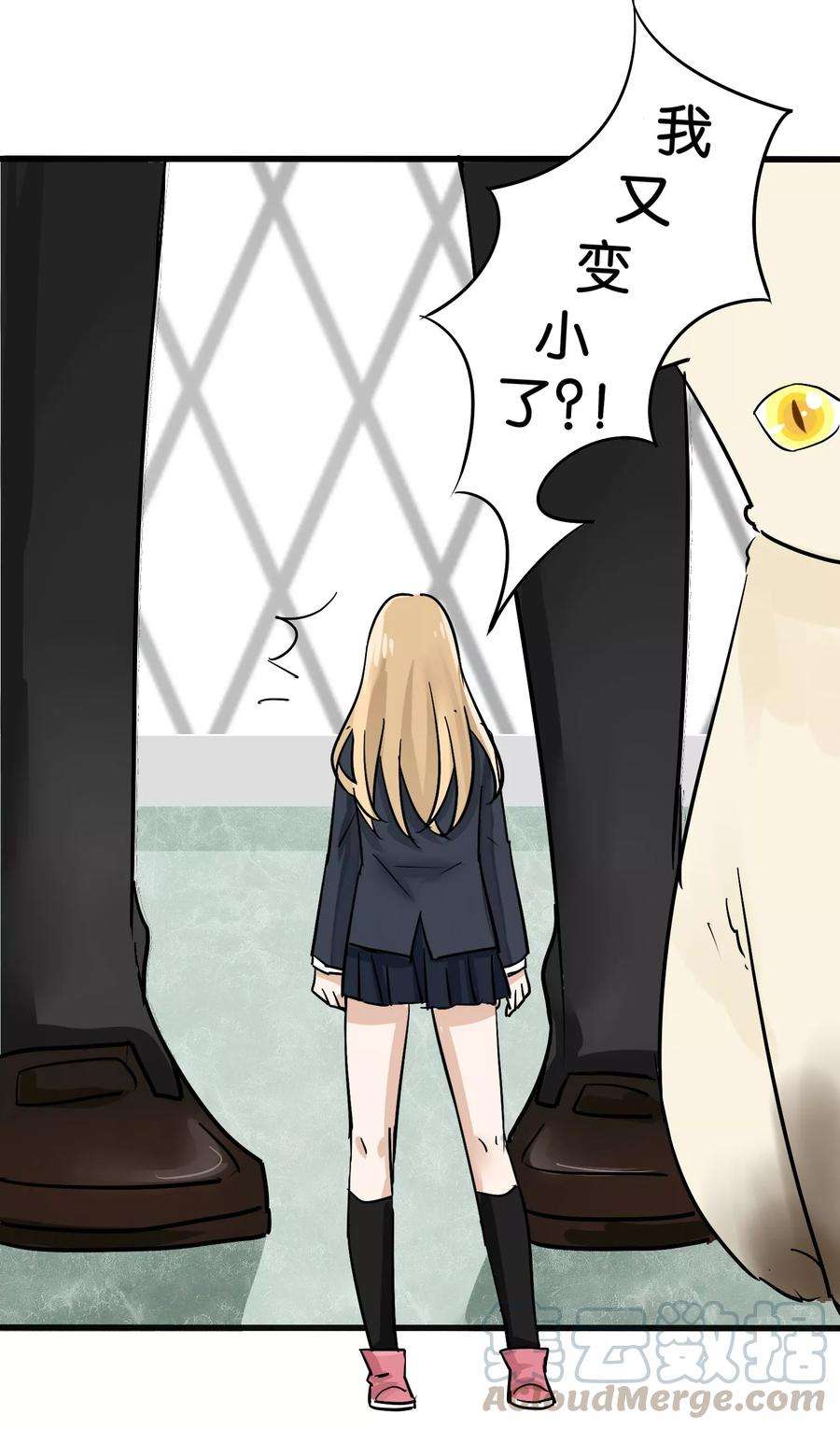 15.jpg