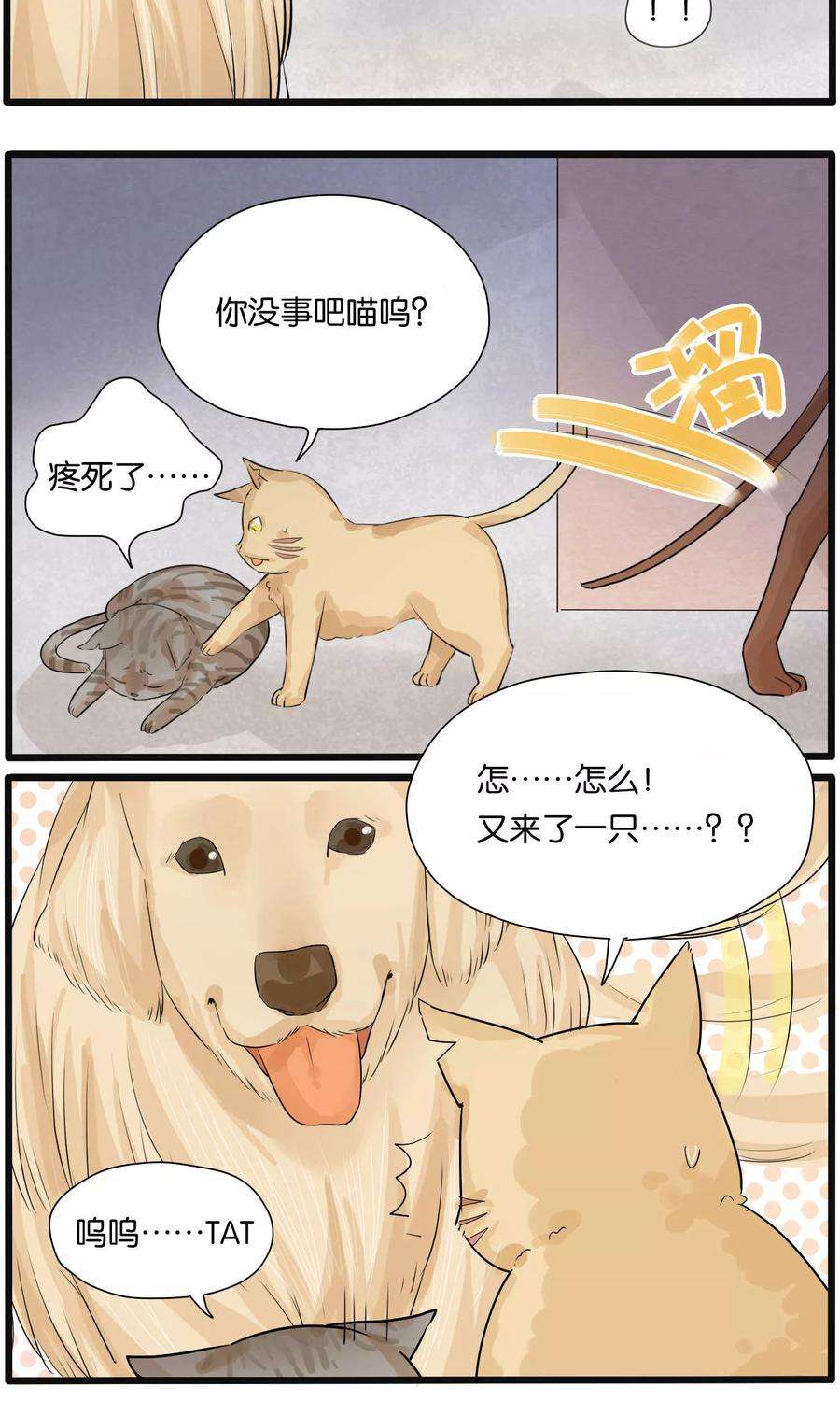 12.jpg