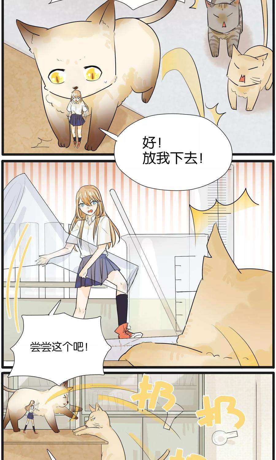 10.jpg