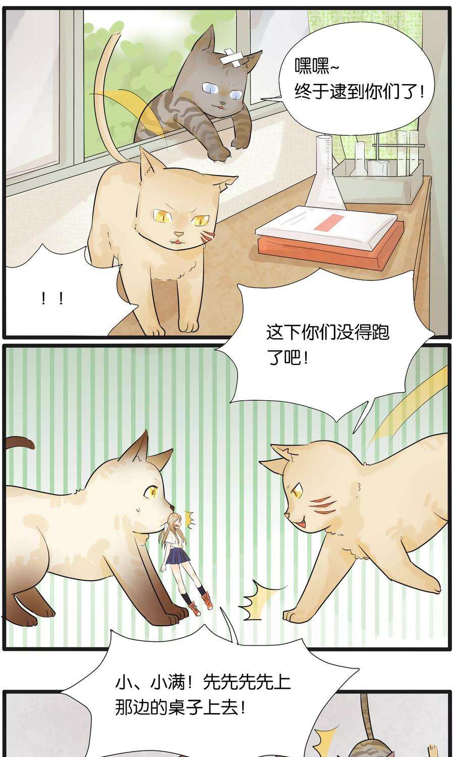 9.jpg