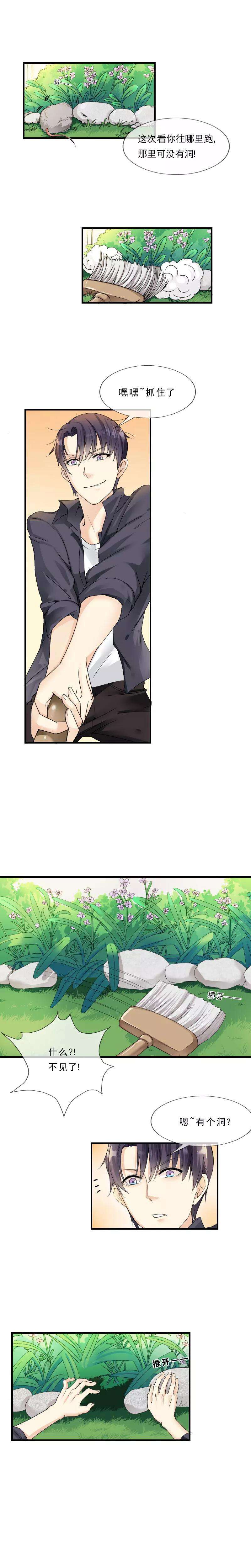 5.jpg
