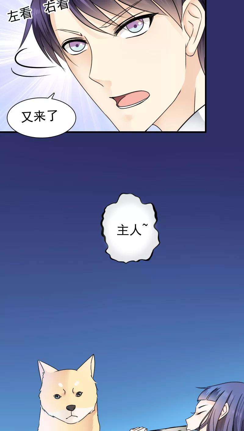 17.jpg