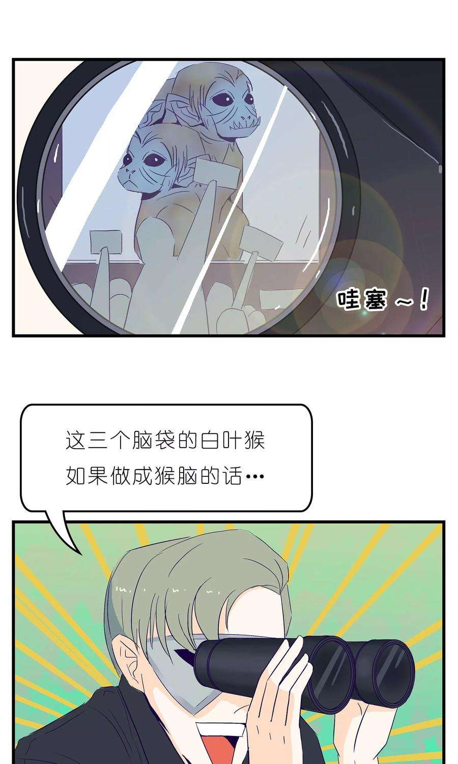 17.jpg