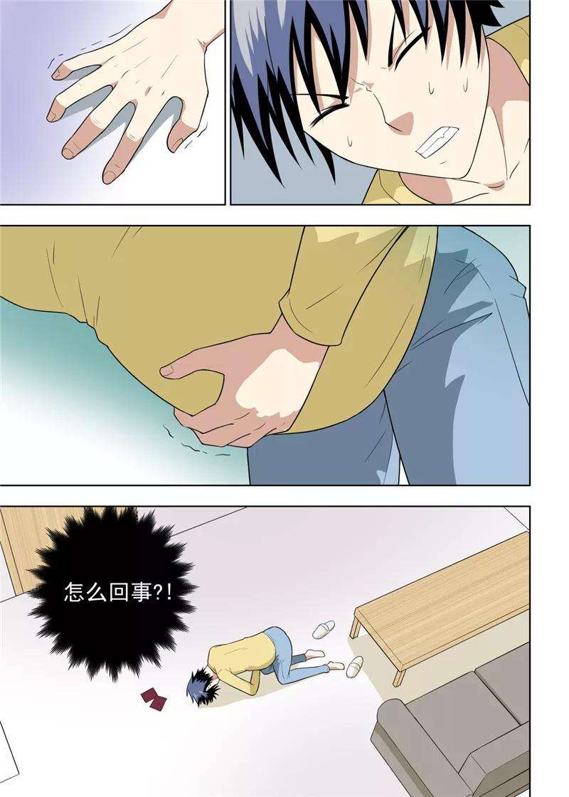 8.jpg