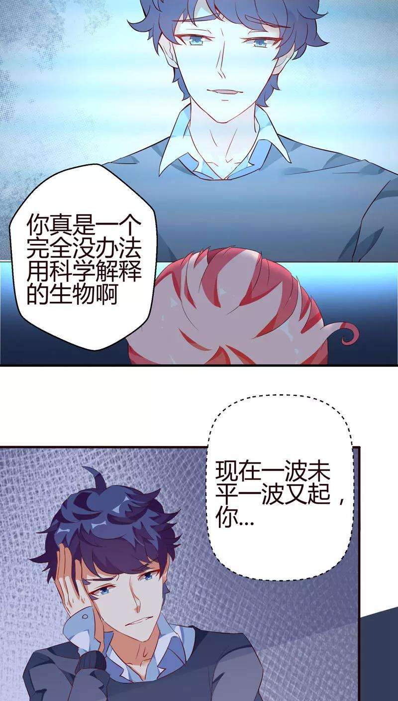 19.jpg