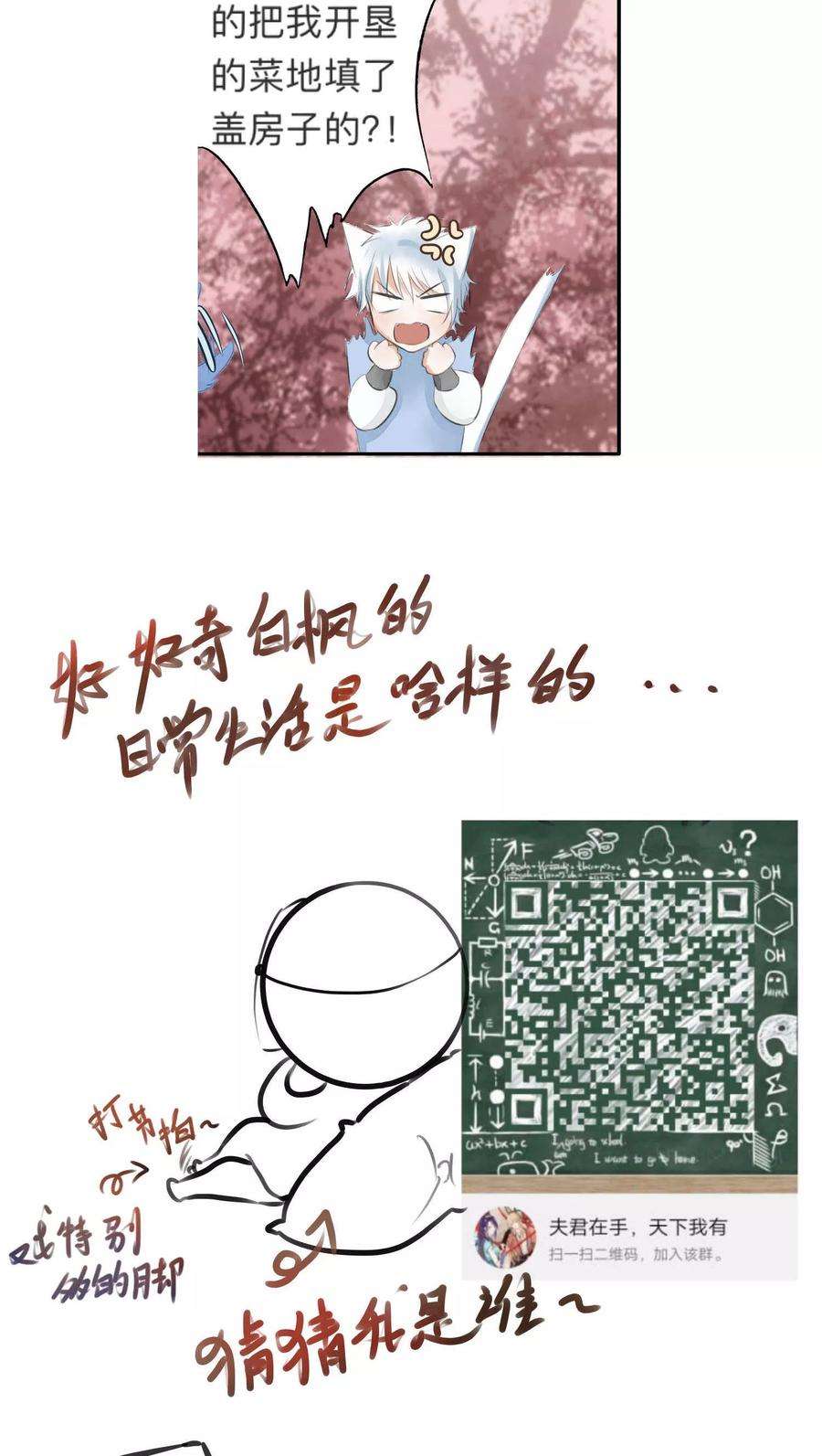 17.jpg