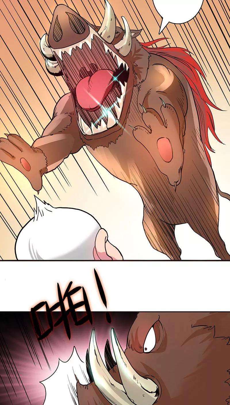 13.jpg