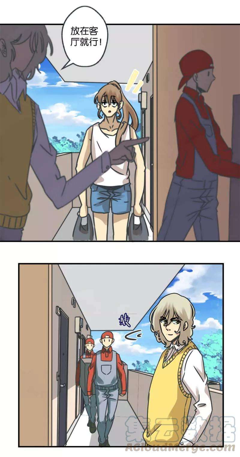 11.jpg