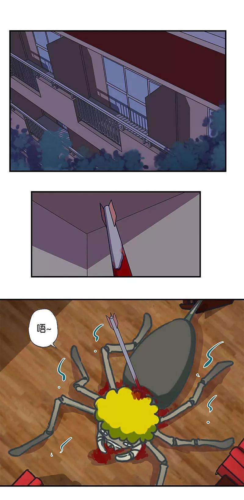 13.jpg