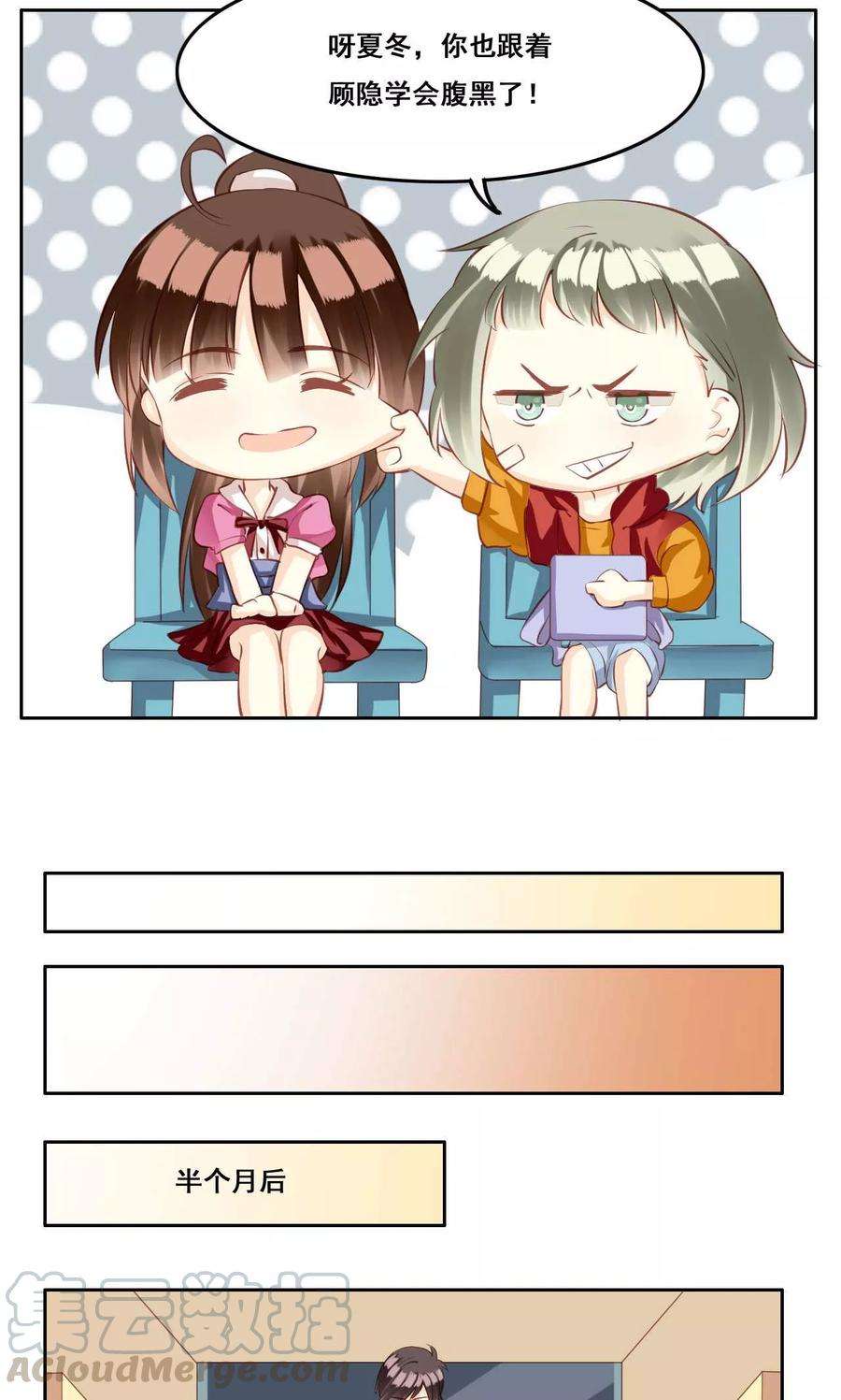 11.jpg