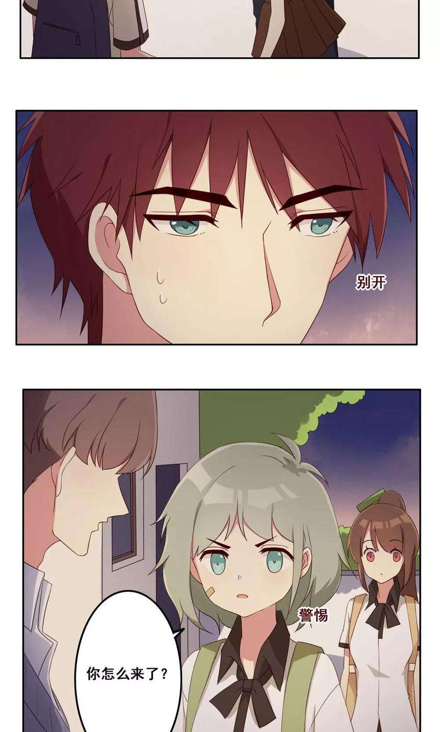 12.jpg
