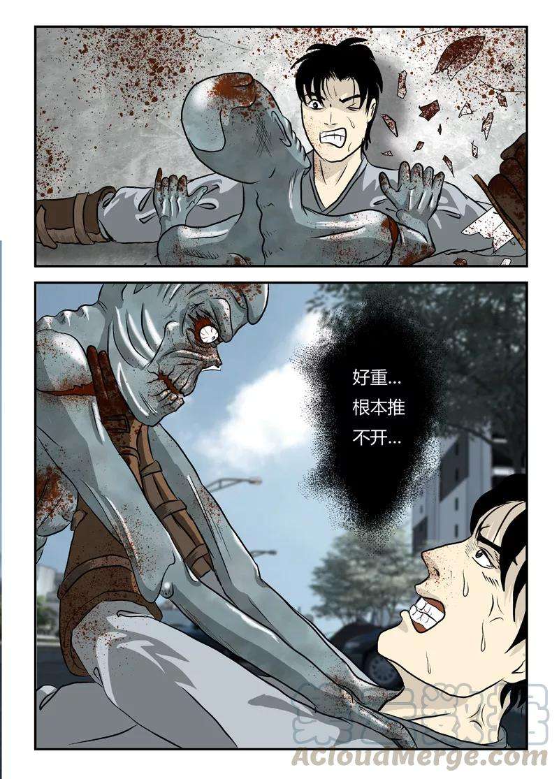 11.jpg
