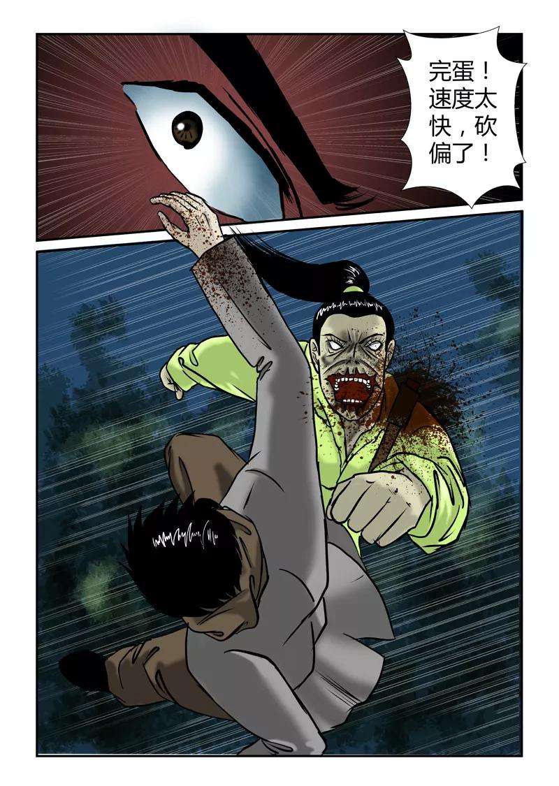 12.jpg