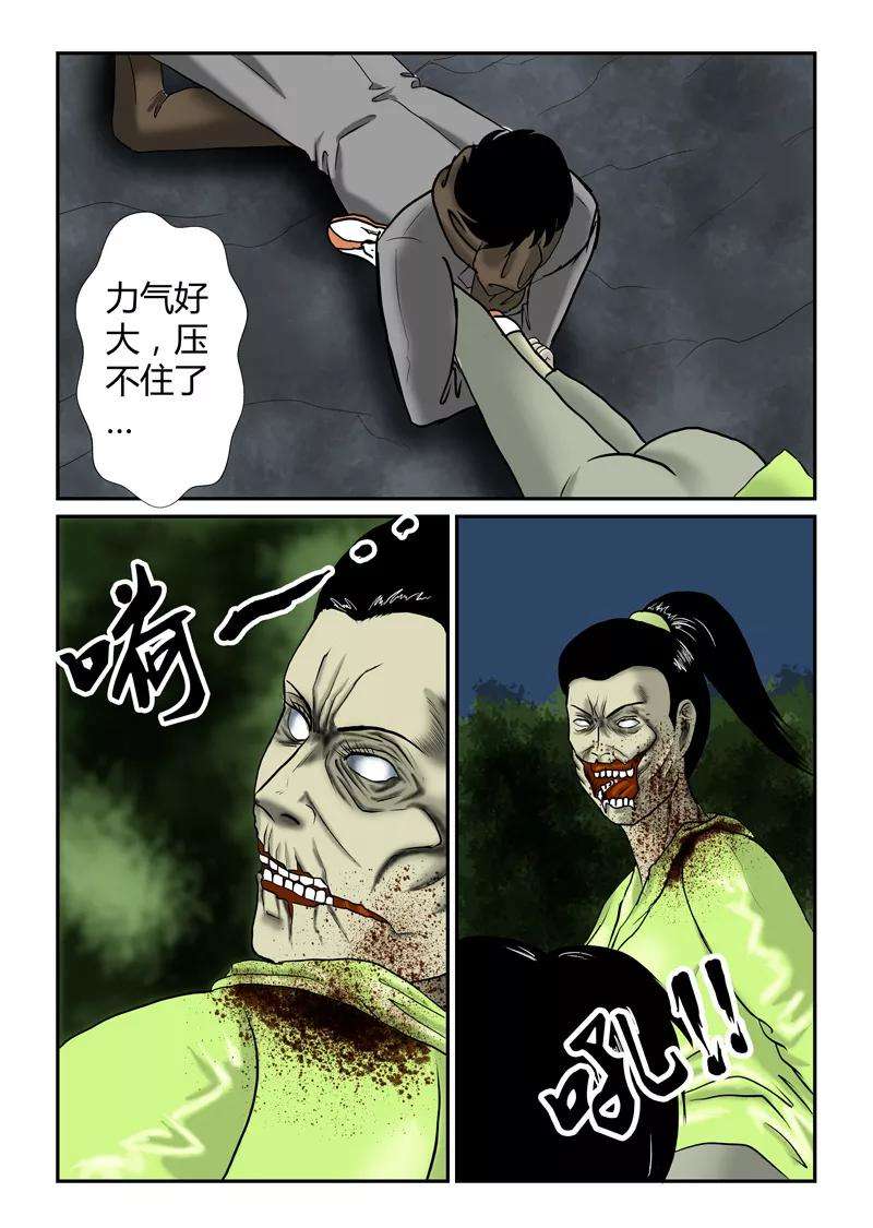 5.jpg