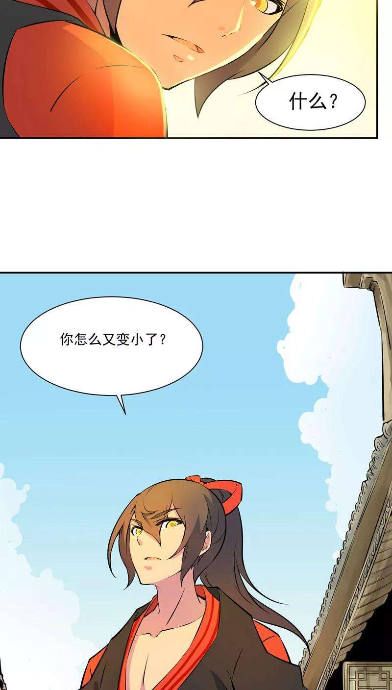 27.jpg