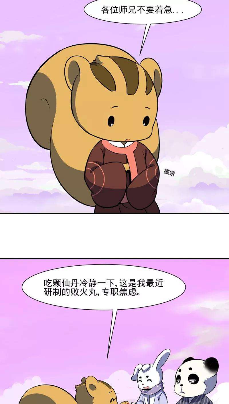 19.jpg