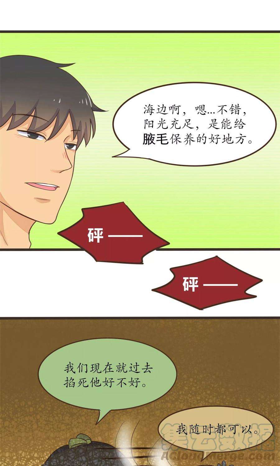 11.jpg