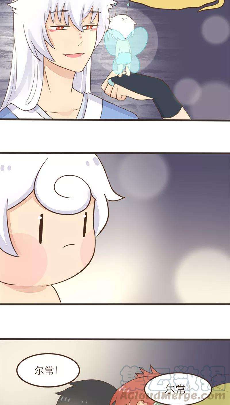 11.jpg