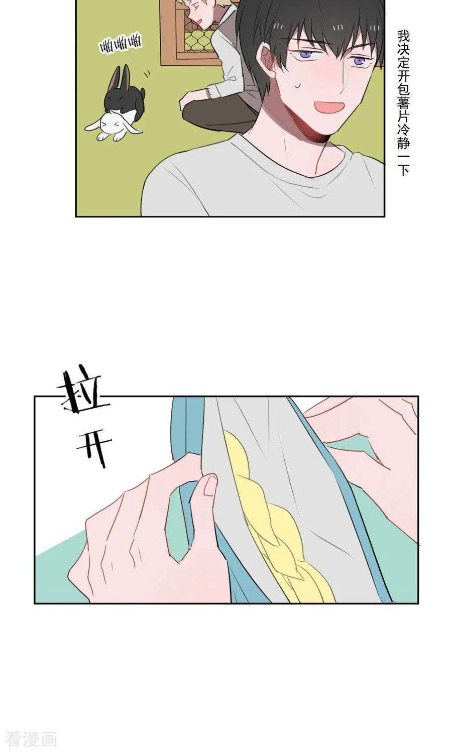 17.jpg