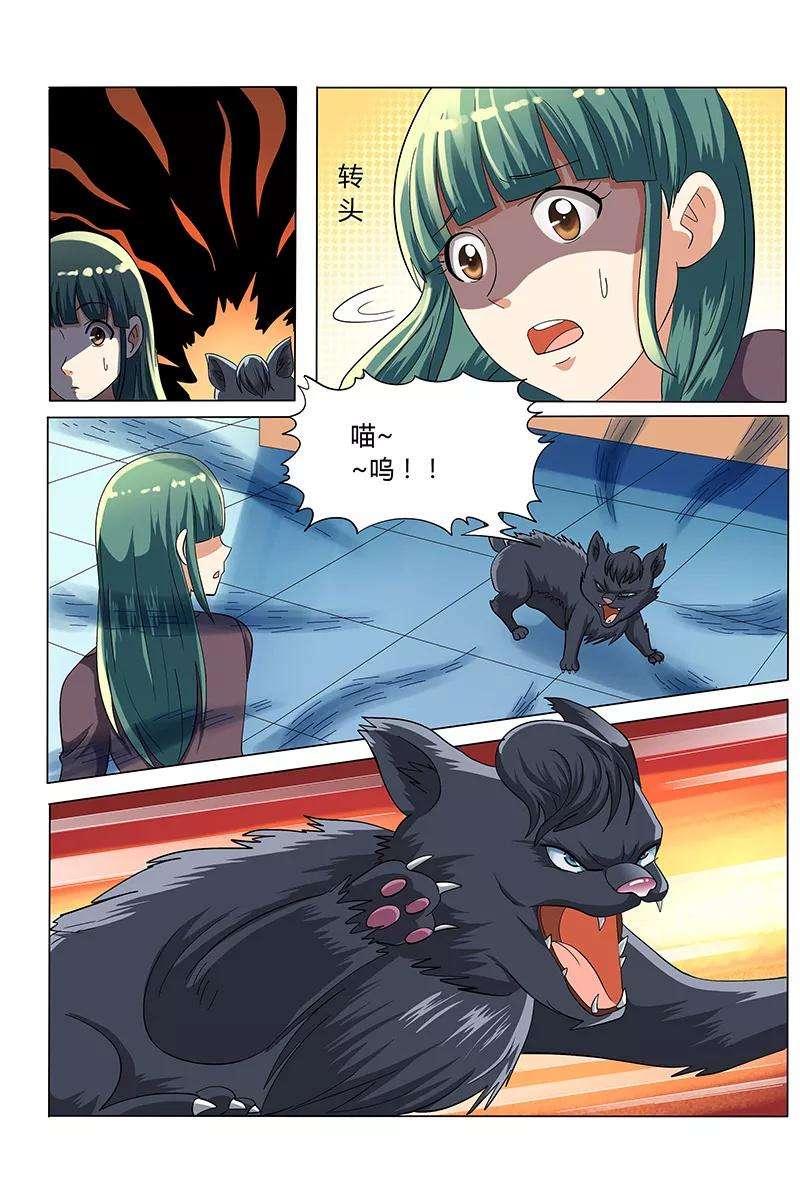 6.jpg