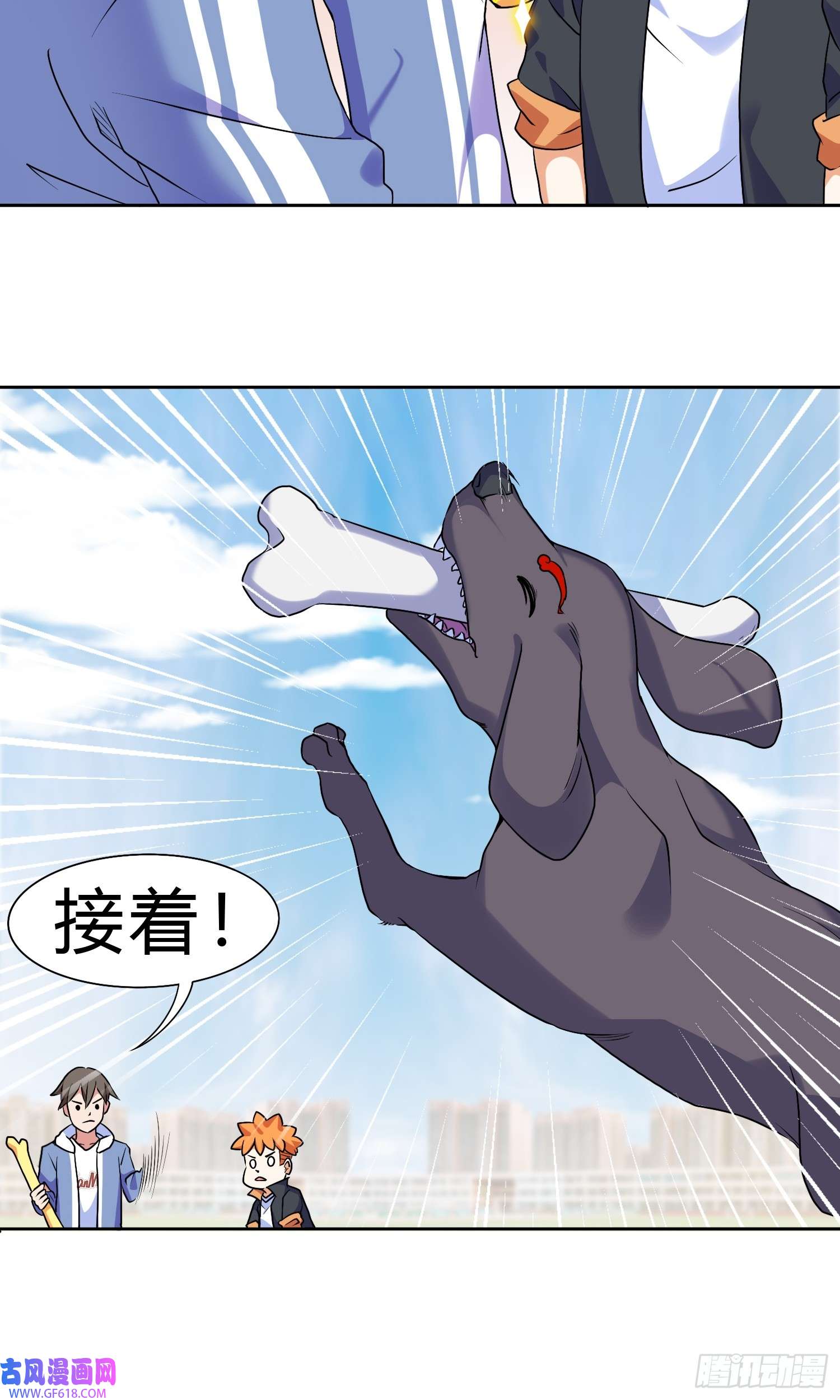6.jpg