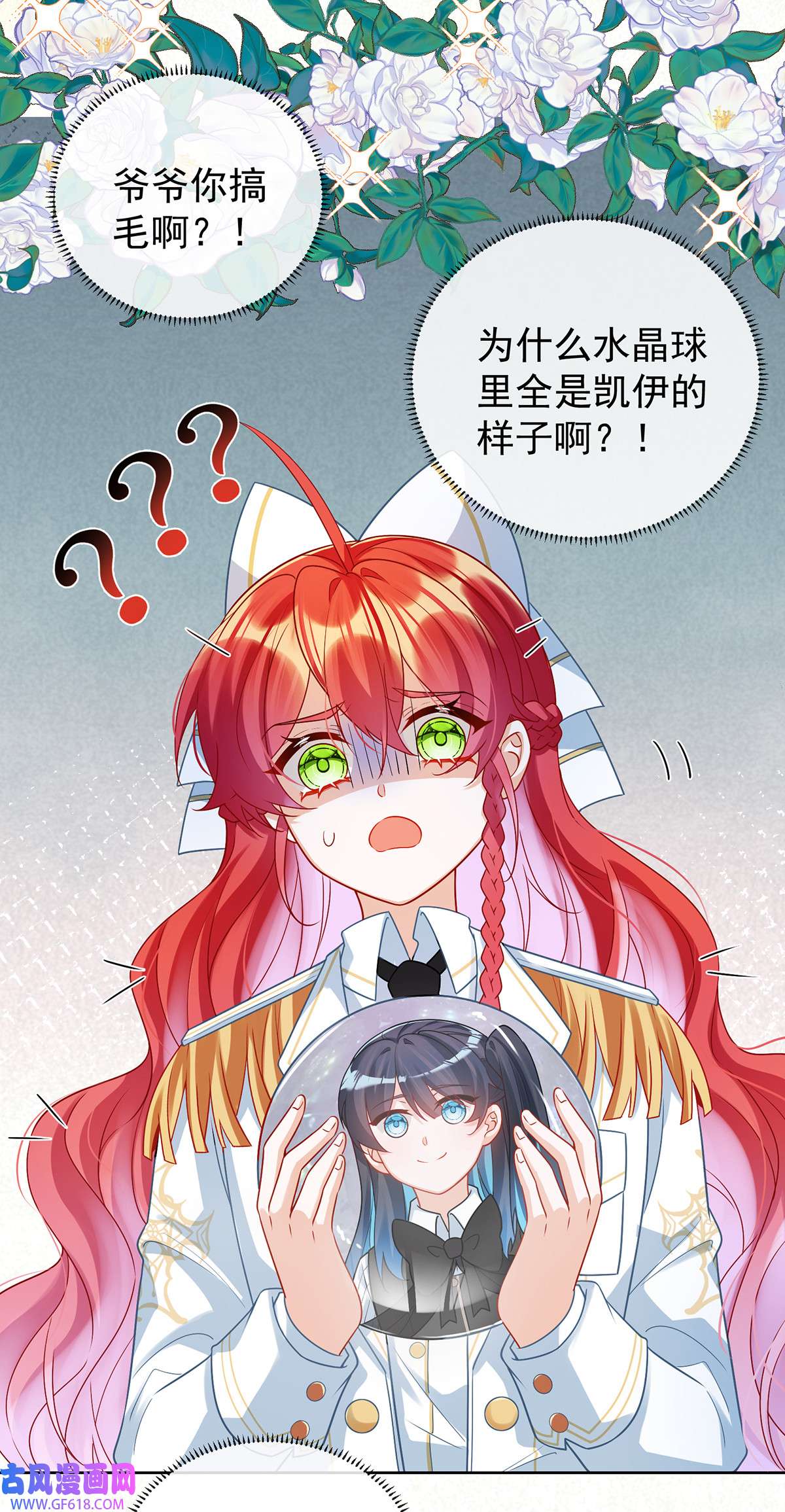 31.jpg