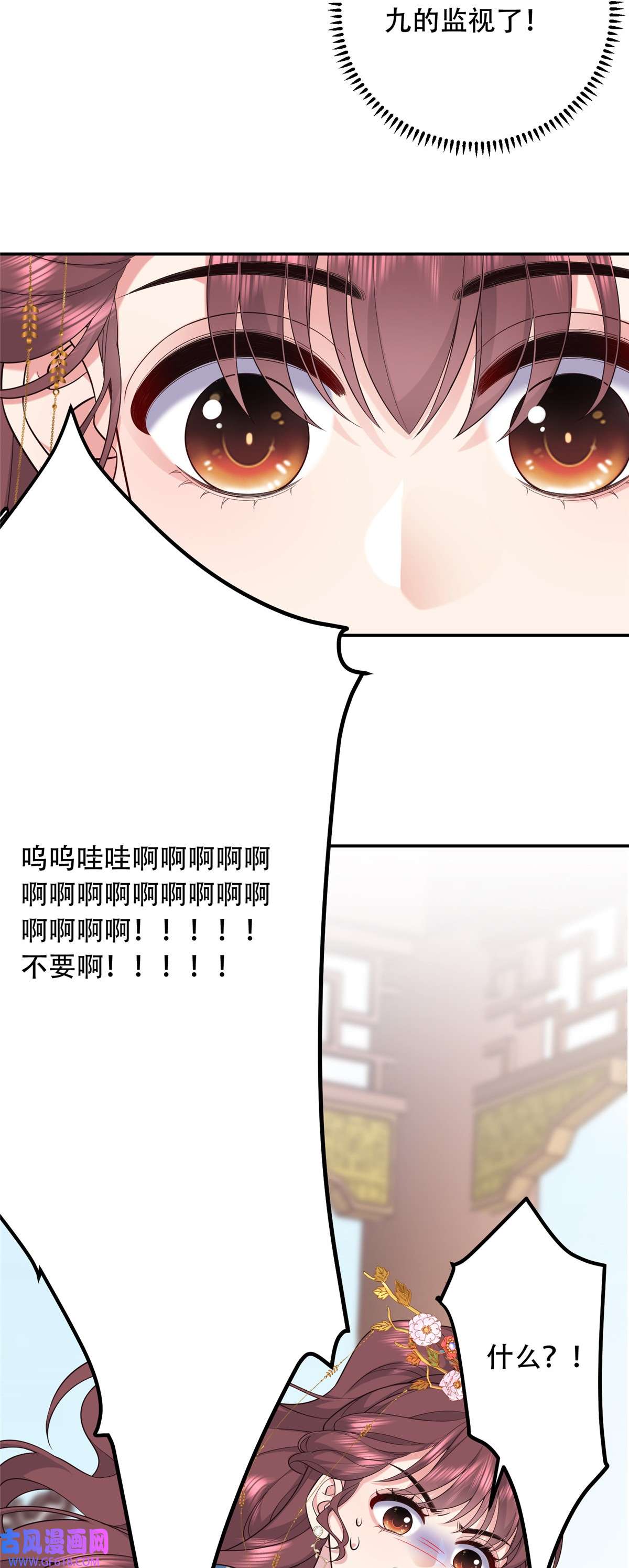 23.jpg
