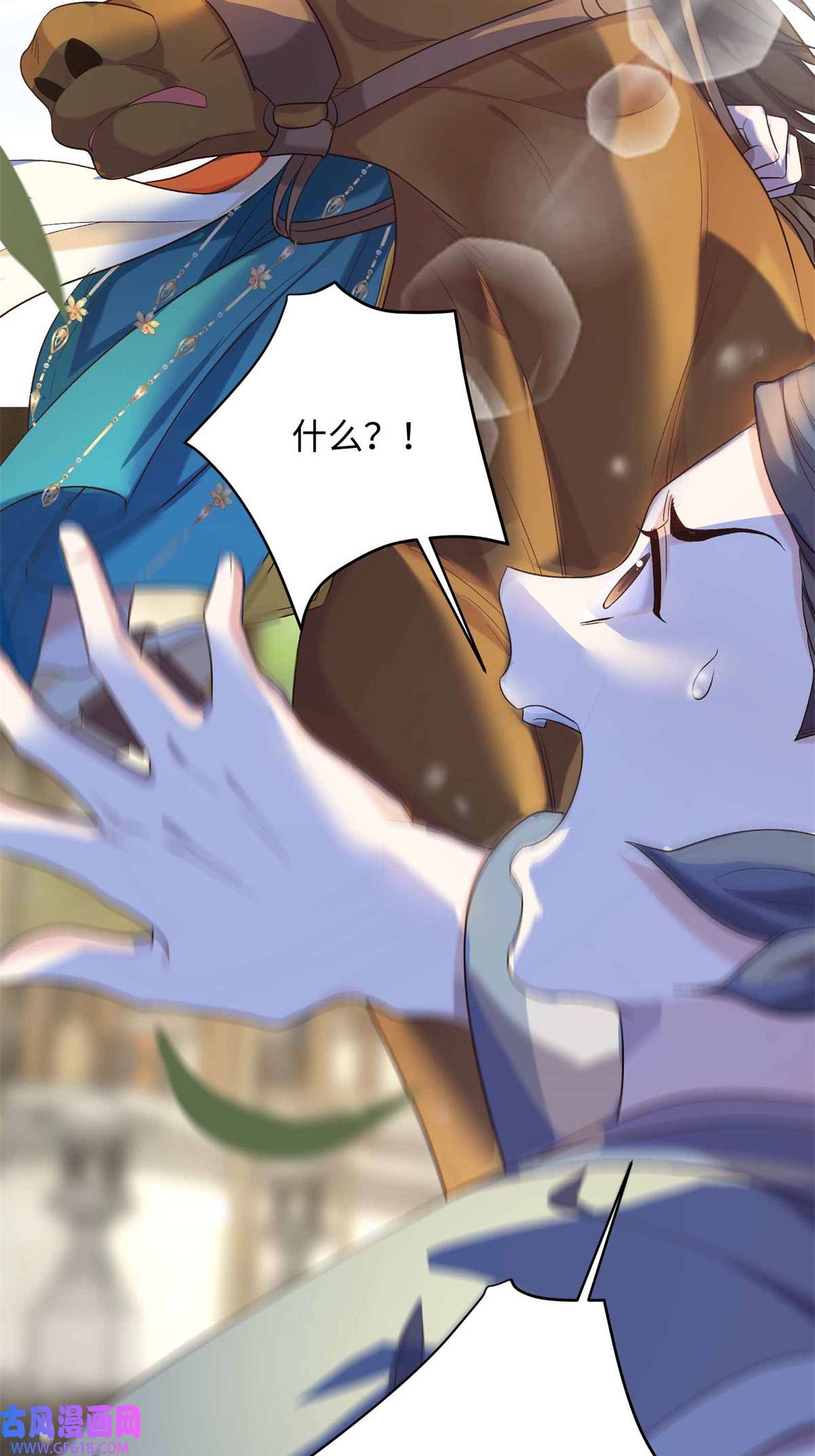 24.jpg