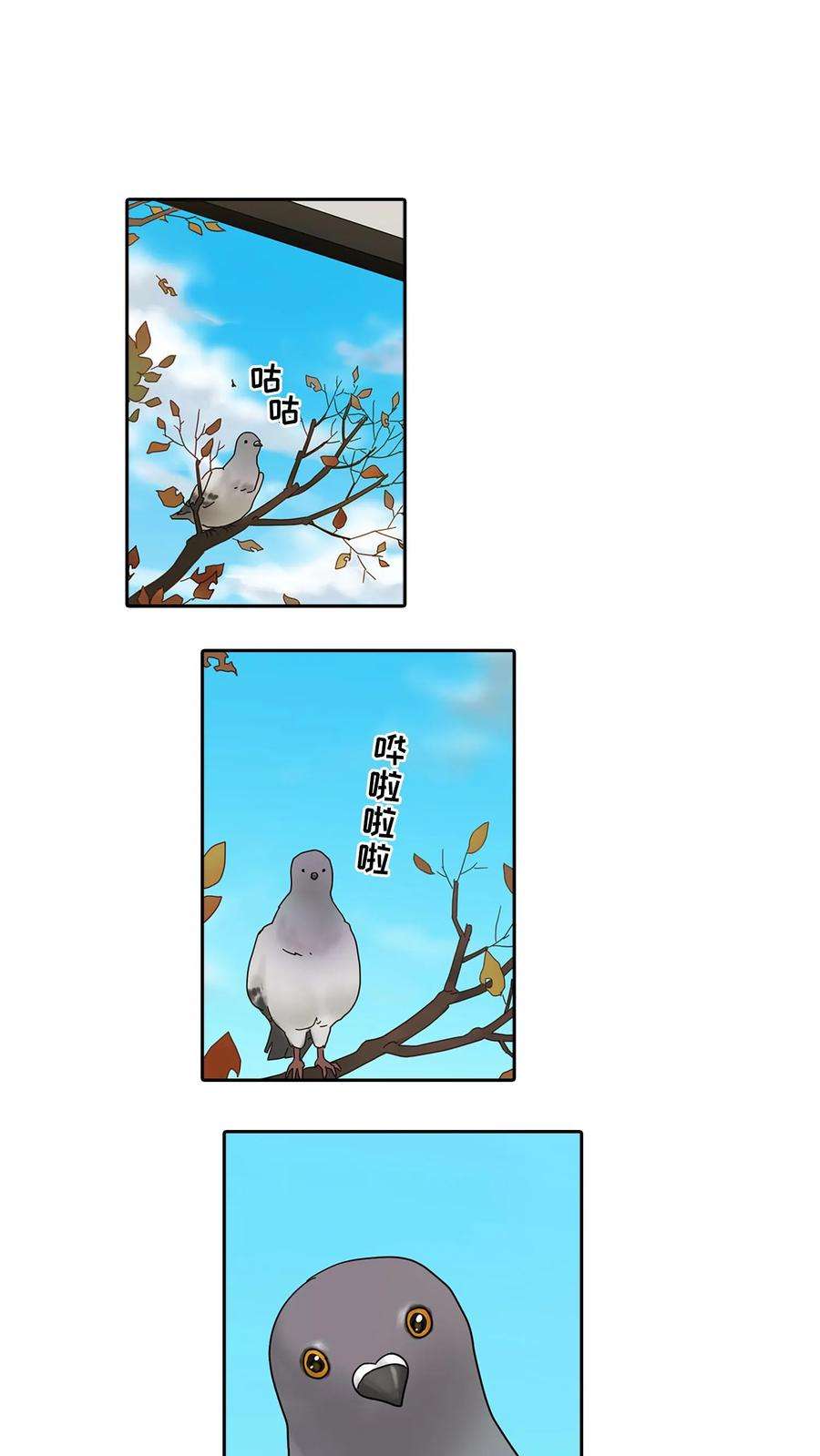 12.jpg