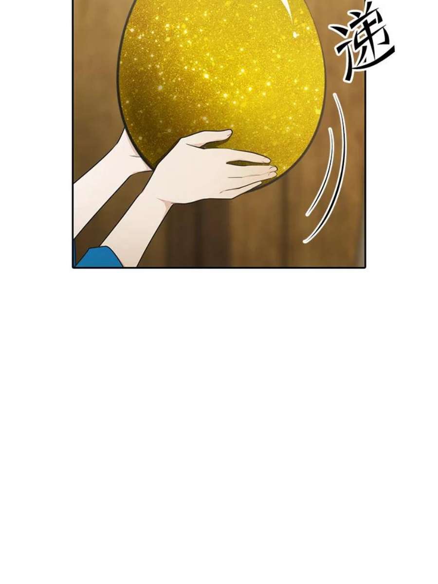 78.jpg