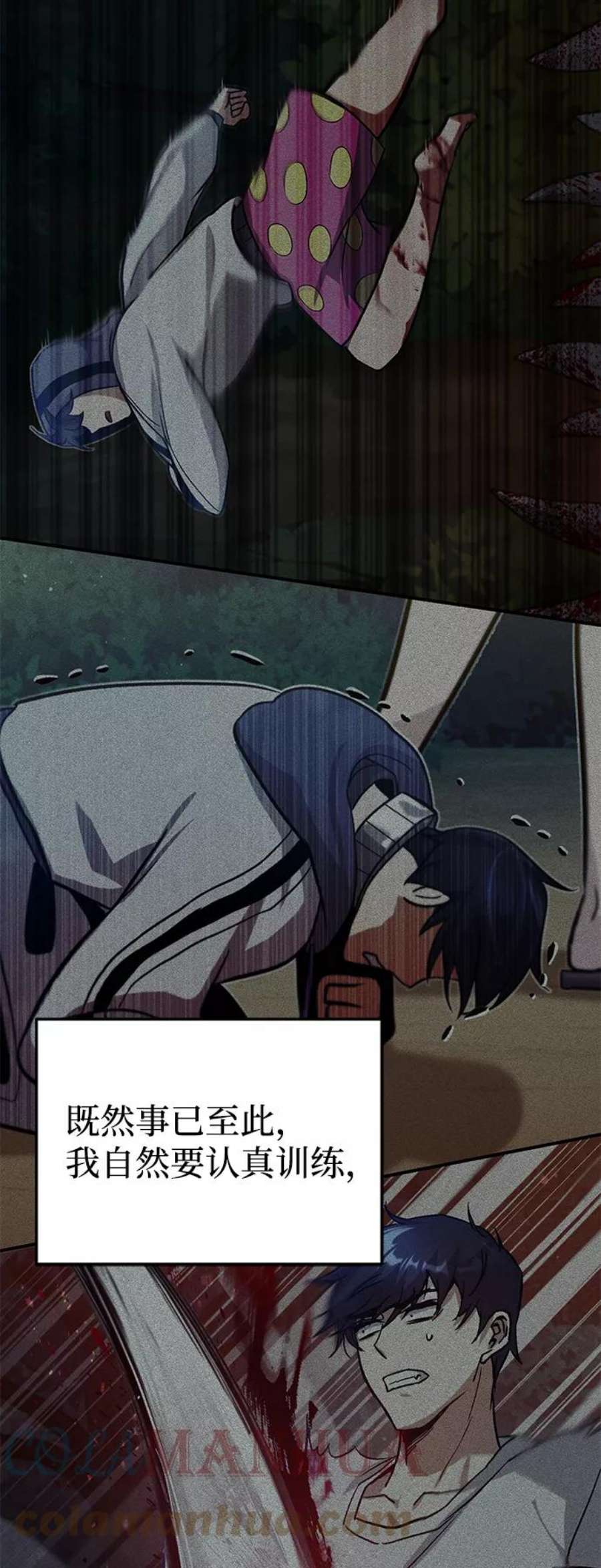 4.jpg