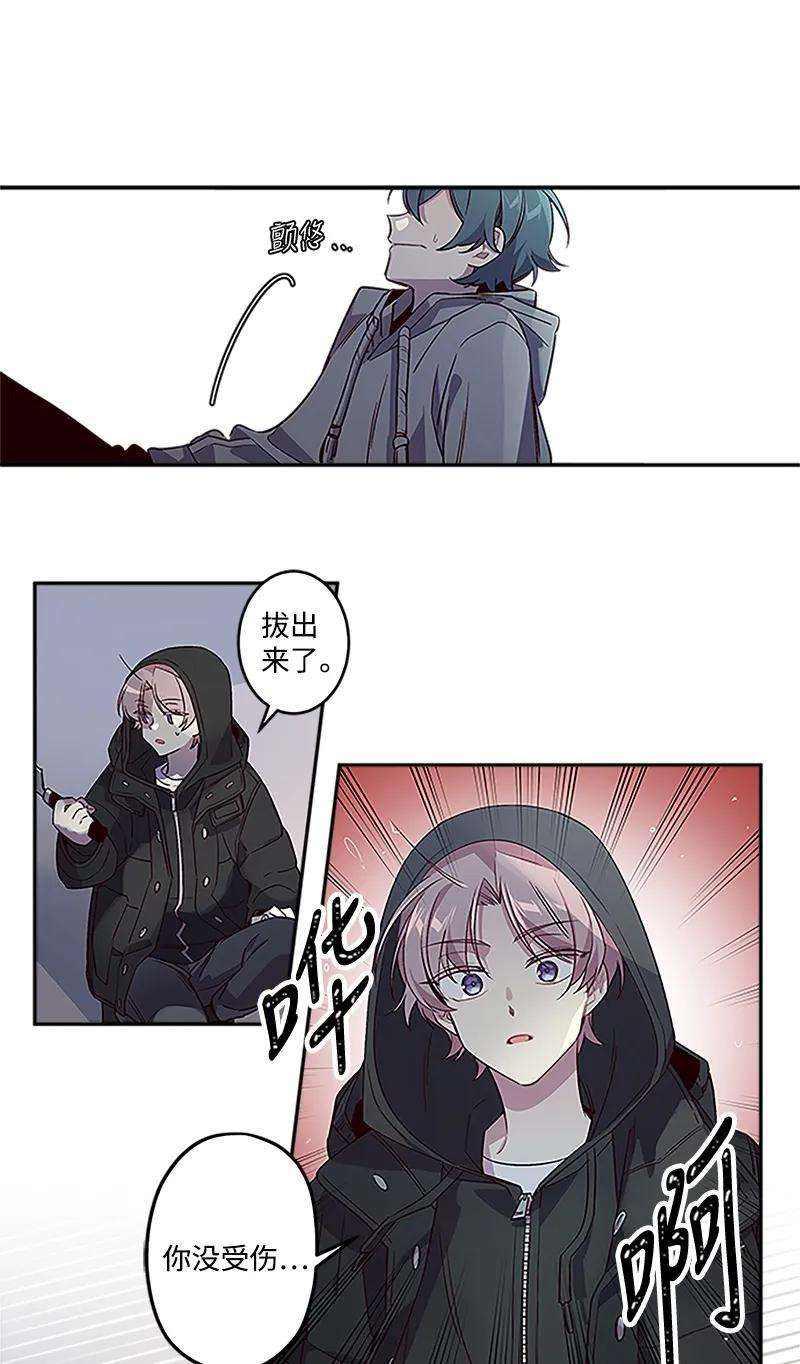 20.jpg