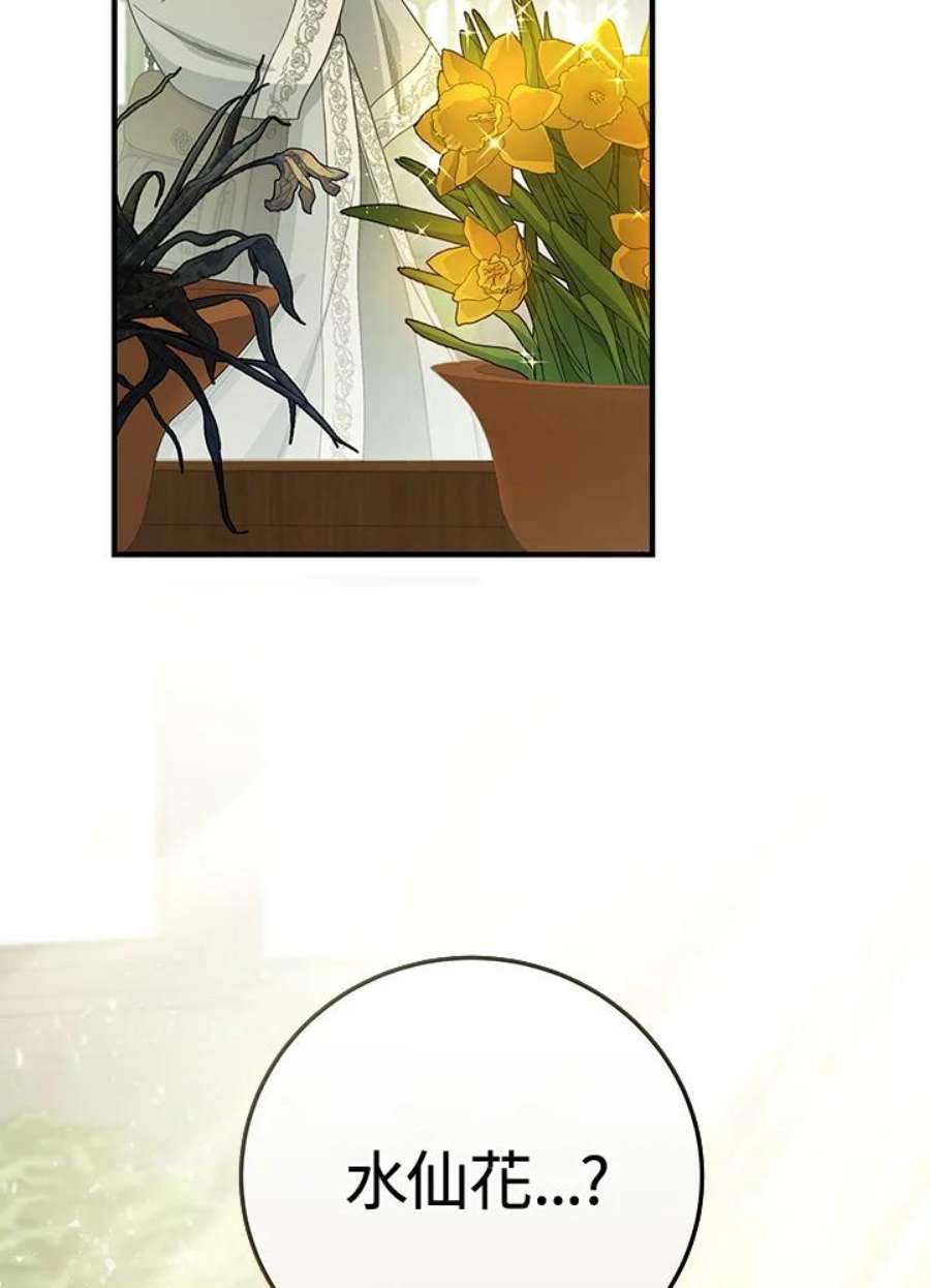 116.jpg